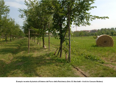 Piantata Parco Resistenza