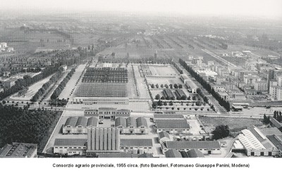 Consorzio agrario 1955