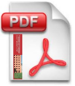 PDF900