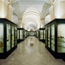 Musei civici - il salone archeologico