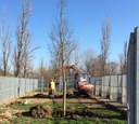 "M'illumino di meno", Modena pianta alberi al Canile intercomunale