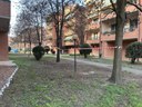 L'area di via Pelloni cordellata dalla Polizia locale di Modena