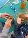 "Riempiamo il mondo di verde", il laboratorio per realizzare "bugs hotel"